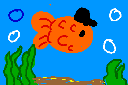 Fish except it's wearing a hat which I have a very good reason for. It was cool.