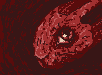 rabbit season