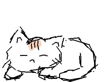 図工の時間でこのねこかきまくったから、みなくってもかけるようになった。(それだけヘタって意味。)