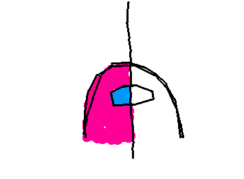 色ありと無しどっちが好き？