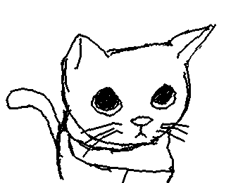 Cute cat