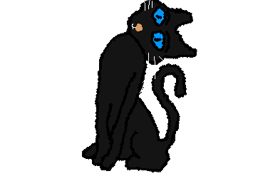 cat ::wp-party::