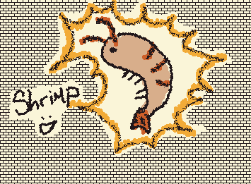 Shrimp :D