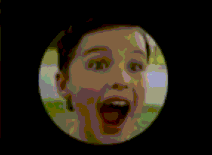 sheldn