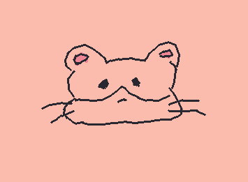 はむすたーです　ぜんぜんうまくかけませんでした