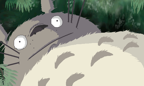きっしょ