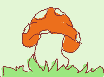 Hongo