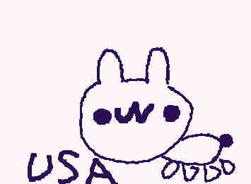 USA（gi) (うさぎだよ）