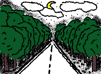 A night trip is bizarre