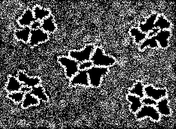 flowers
i used to draw these flowers during maths lectures, sort of how i stayed sane during my burnout :/
please checkout @sleepwasdreaming on ig