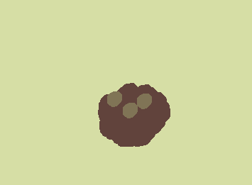coconut :p