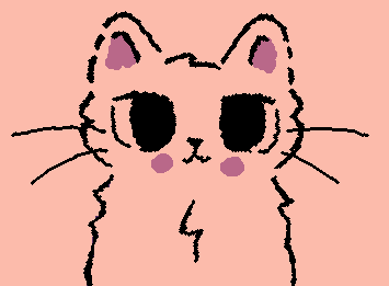 Cat!!🐱💖💖