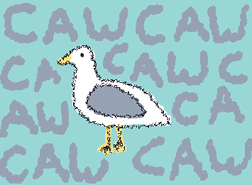 I love seagulls even if they are an absolute nuisance