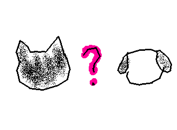 みんなは、ねこか、いぬどっちがすき
コメントでおしえて!