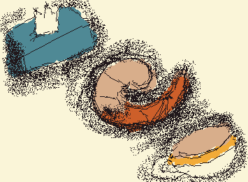 It’s just a tissue, shrimp, and a tea cup…… stop remembering the past- it’s the present-