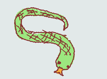 Snake