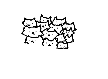 another cat has been added!
