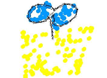 めがでたよ