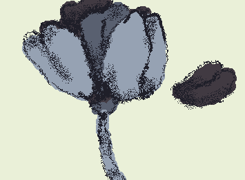 A flower??
