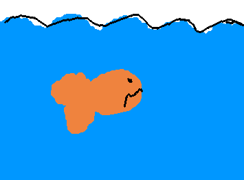 David was having a happy and dandy time in the ocean until he had a lil mermaid moment and wanted to be where the ppl r...