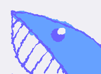 かわいい、かわいいくじら