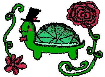 Turtle!