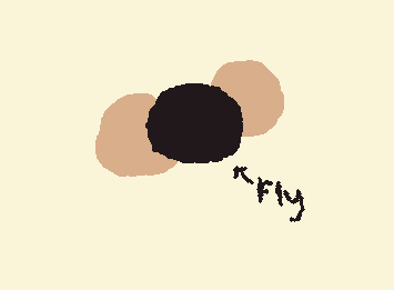 fly