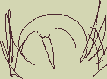 スキナキャラクターハー?