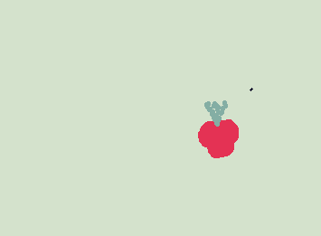 raspberry requested by my friend!!!!!!!