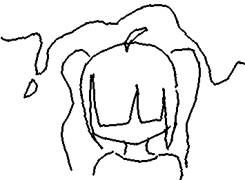 かきさん、迷惑をかけた方々、すみませんでした🙇ほんとにすみません💦でも、傷つけたり、迷惑をかけるつもりはなかったんです。ごめんなさい(._.)