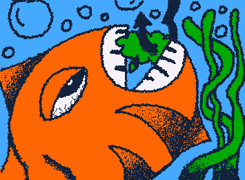 high fish