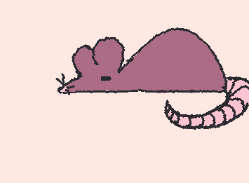 A RAT! >:3