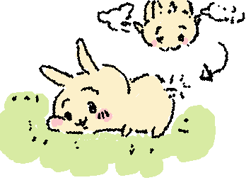 Usagi falling from the sky