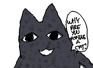 why are you asking a cat