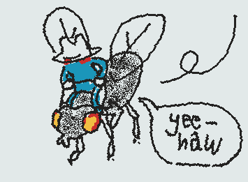yee haw