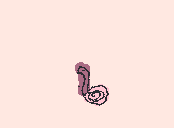 the Sliggoo pokemon