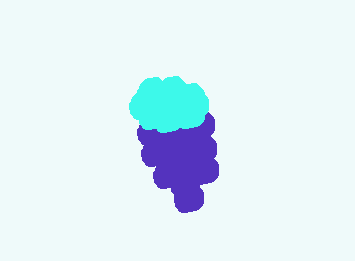 this is also little grape he is super tiny and he loves y'all.