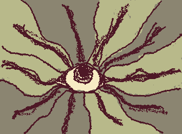 eye flower