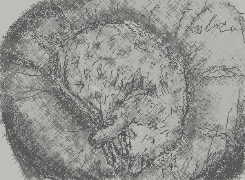 "Who can compare with me?" said Death, "for I am paler still."