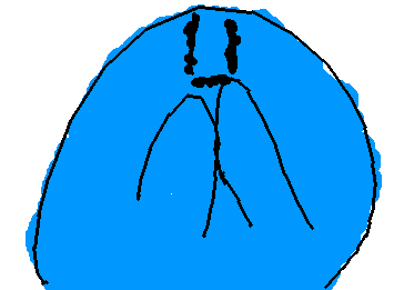 さいきんへんしゅうがぜんぜんないとおもいますがやすんでるだけですよ