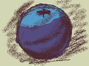 Blueberry |I CANT DRAW|
