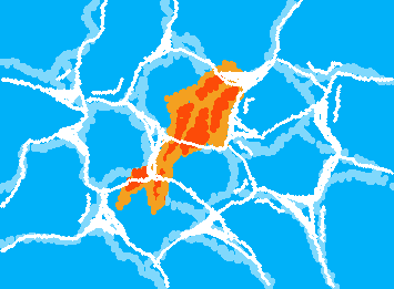 Fish
I don't like my draw