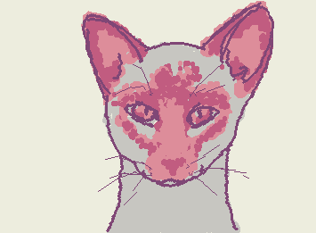 Pink Siamese