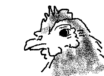 Bawk bawk