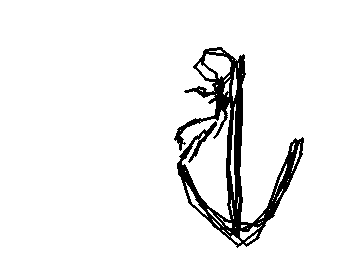 イカリ