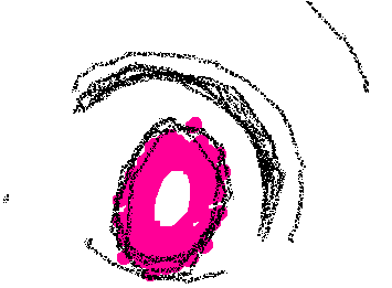 お目目