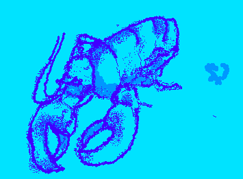 its a....... LoBsTer)))