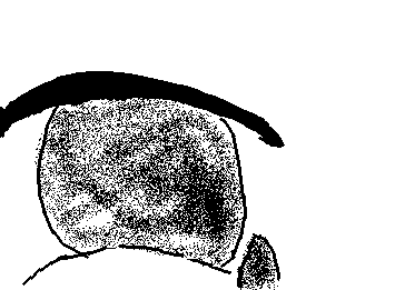 初めての目だけ