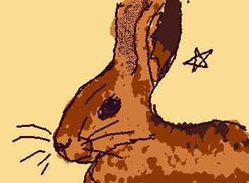 Jack Rabbit