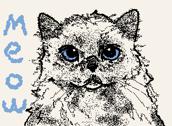 My cat has beautiful blue eyes :3